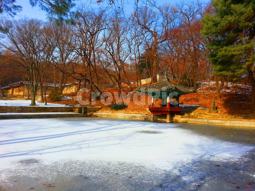 창덕궁,후원,유네스코,문화유산,관광,changdeokpalace,garden,unesco,heritage,tour,tourism,palace,korean,겨울,계절,winter,season,랜드마크,landmark,tourist attraction,한국랜드마크,한국관광지,한국명소,korea landmark,korea tourist attraction