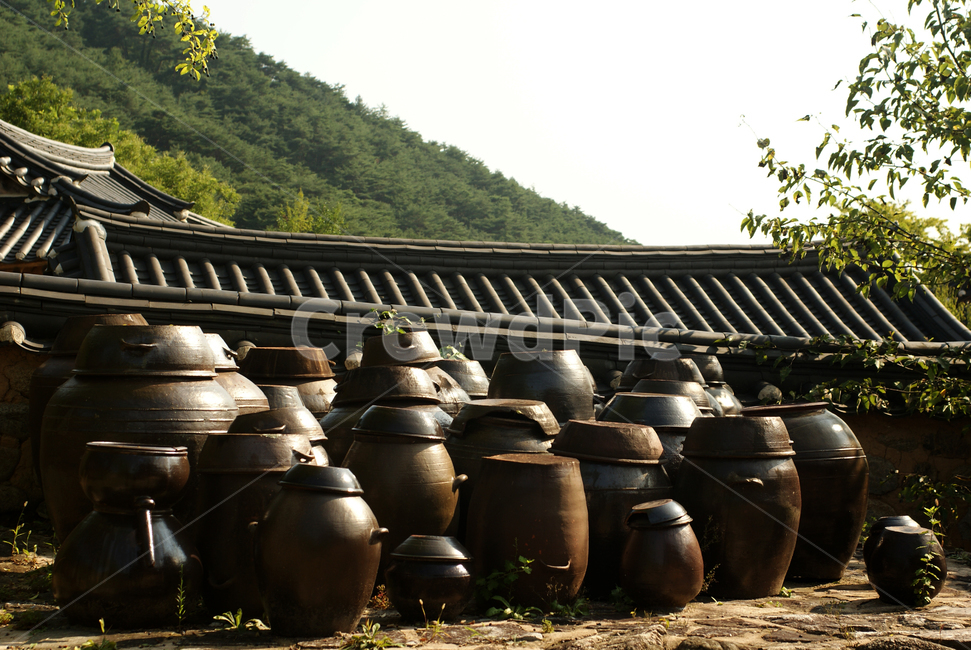 항아리,장독대,한옥,기와,담,옹기종기,전통적인,한국전통,마당,뒤뜰,korean,traditional,jar,한국전통,한국문화,korean traditional,korean culture