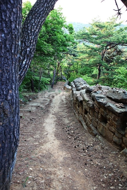 성,전등사,성곽,둘레길,돌담,풍경,배경,자연
