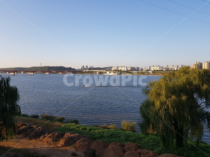 강,river,view,landscape,풍경,나무,tree,물,sky,하늘,blue,파랑,초록,한강,hanriver,한국도시풍경,한국도시경관,korea cityscape