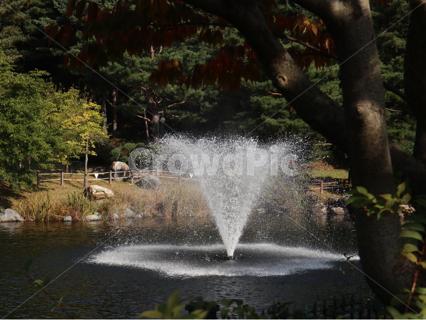 분수,물,연못,water,fountain