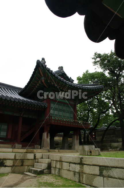 창덕궁,고궁,한옥,전각,전통가옥,기와지붕,건축,traditional,한국전통,한국문화,korean traditional,korean culture,랜드마크,landmark,tourist attraction,한국랜드마크,한국관광지,한국명소,korea landmark,korea tourist attraction,건축물,건물외관,exterior,building,structure,architecture,construction