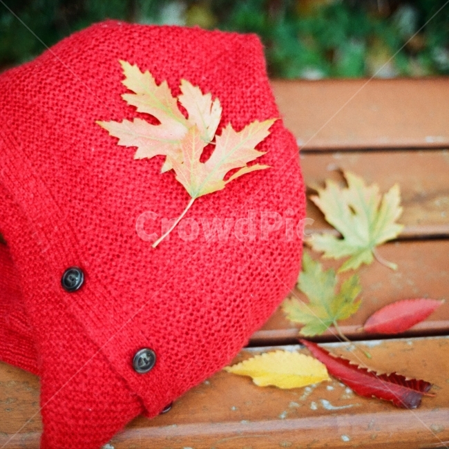 가을,단풍,빨간색,11월,스웨터,감성사진,가을,계절,fall,autumn,season,패션스타일,의상,fashion,style,감성,sensible,feeling,plant,식물,leaf,잎