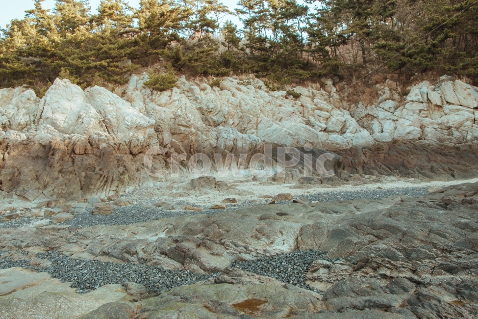 바위,자연,서해,나무,돌,자연,풍경,nature,landscape,ground,바닥