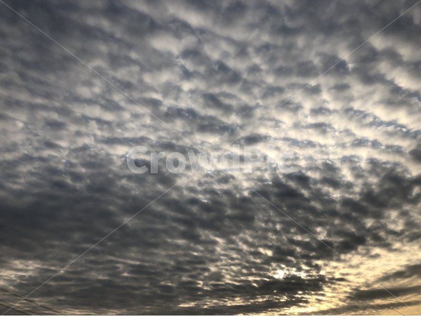 하늘,구름,태양,양털,노을,자연,풍경,nature,landscape,outdoors,옥외,cloud,sky,weather,날씨,cumulus,적운