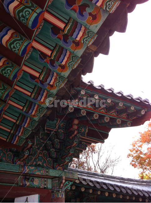 단청,한옥,처마,기와,전통