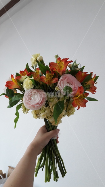 꽃다발,선물,꽃,라넌큘러스,스토크,꽃꽂이,꽃부케,식물,plant,flowerarrangement,flowerbouquet,flower,blossom,꽃선물,꽃,flower