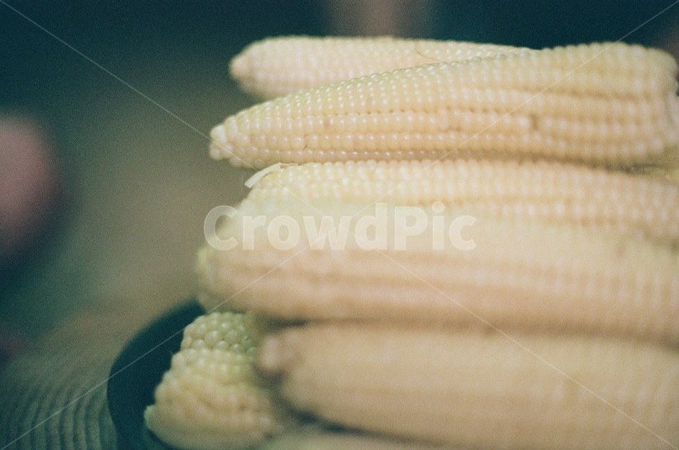 옥수수,시골,노란,corn,찐옥수수,음식,식재료,요리,food,cook,meal,dishes,food reserves