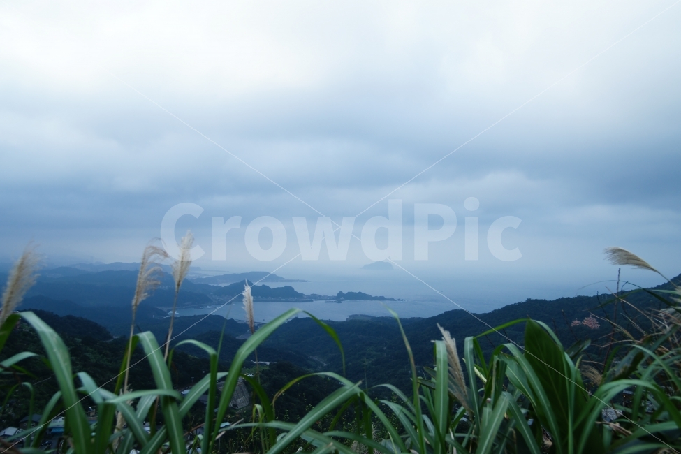 자연풍경,언덕,바다,구름,섬,자연,풍경,nature,landscape,한국자연풍경,한국자연경관,korea nature landscape,plant,식물,grass,잔디