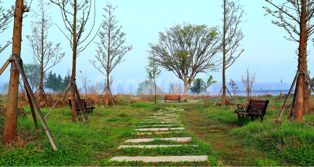 아침,두물머리,정원,벤치,길,자연,풍경,nature,landscape,tree,나무,plant,식물