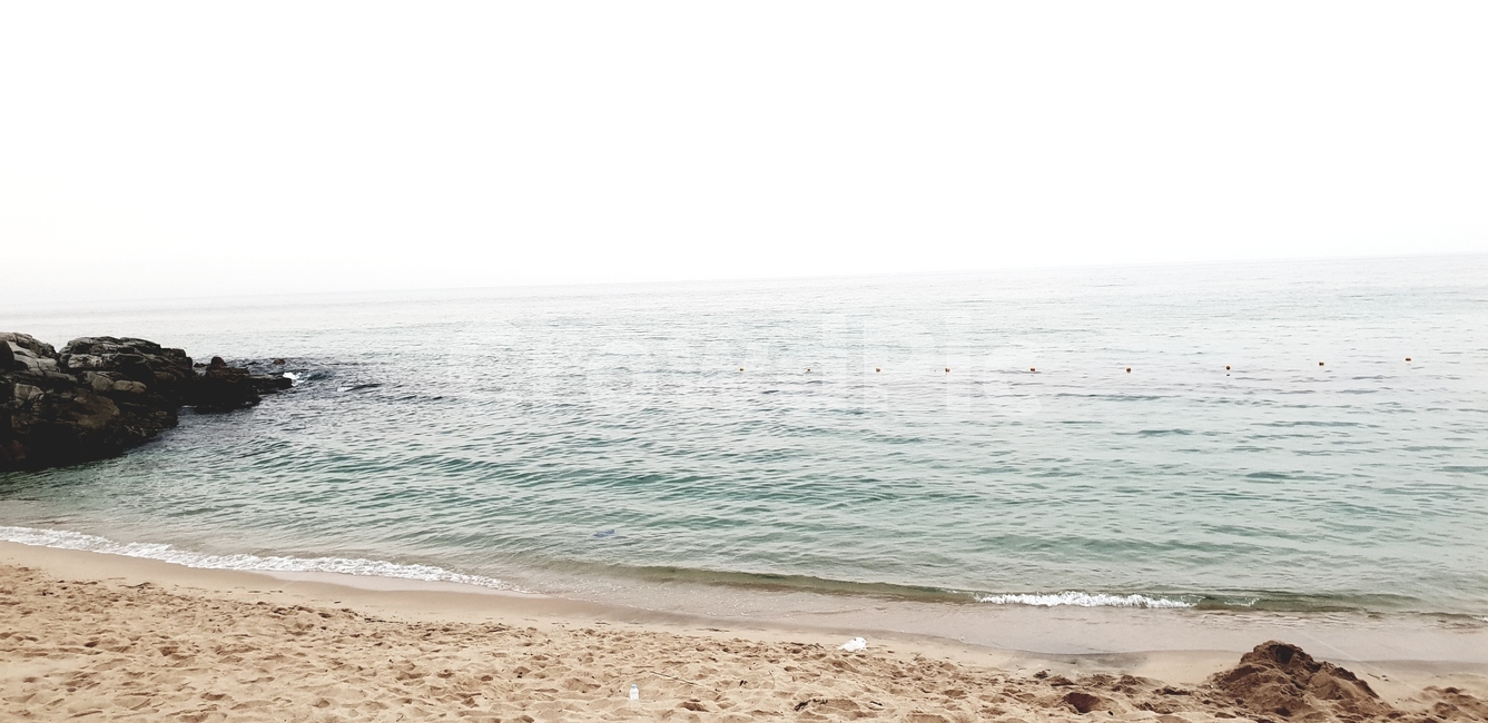 바다,해변,여름,바닷가,해수욕장