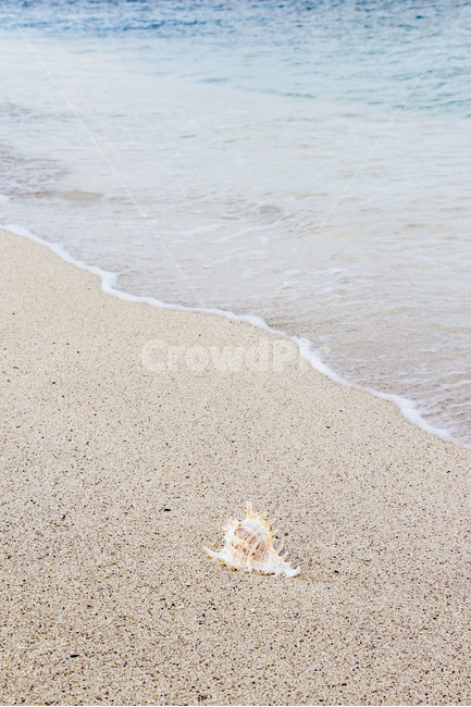 바다,해변,모래사장,소라,조개,여름,백사장,파도,배경,백그라운드,물보라,자연,풍경,nature,landscape,해변,바다,beach,sea,감성,sensible,feeling