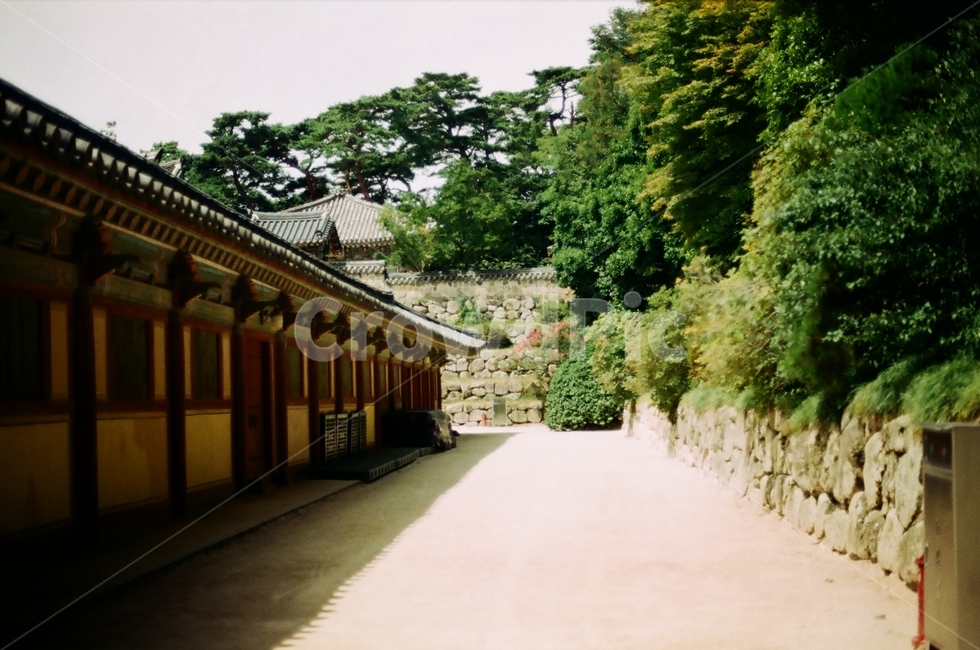 경주,한옥,불국사,기와,절,tempel