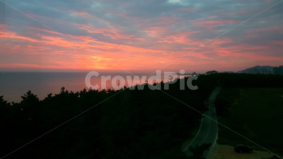 일출,태양,숲,하늘,자연,해안도로,레드,구름,소나무,감성,자연,풍경,nature,landscape,outdoors,옥외,sky,sunset,일몰,dusk,황혼,dawn,새벽,red sky,붉은 하늘