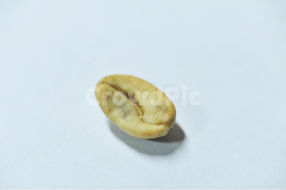 coffee,생두,원두,커피콩,Arabica,열대식물,카페인,커피,카페,coffee,cafe,누끼,remove background