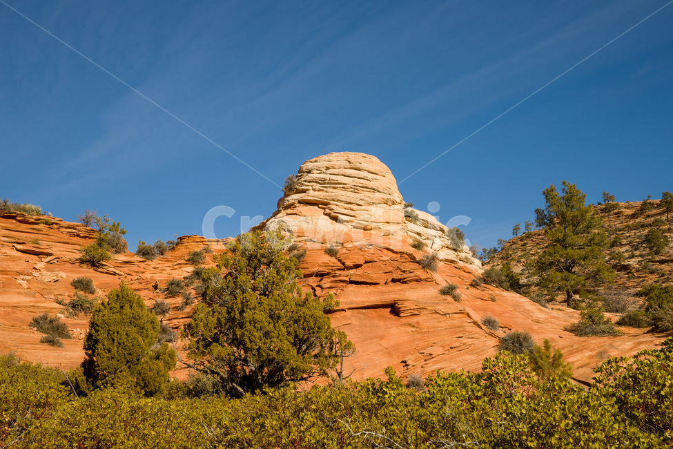 zioncanyon,national,utah,plateau,erosion,sandstone,scenery,arid,beautiful,blue,canyon,cliff,desert,geology,hiking,hill,landscape,mountain,natural,nature,nevadadesert,outdoor,park,red,rock,sand,scenic,sky,stone,summer,tourism,usa,valley,view,미국,아메리카,유타,사막,황량,자이언캐년,자연,풍경,nature,landscape,해외,외국,세계,foreign,oversea,world,세계자연풍경,해외자연풍경,외국자연풍경,world nature landscape