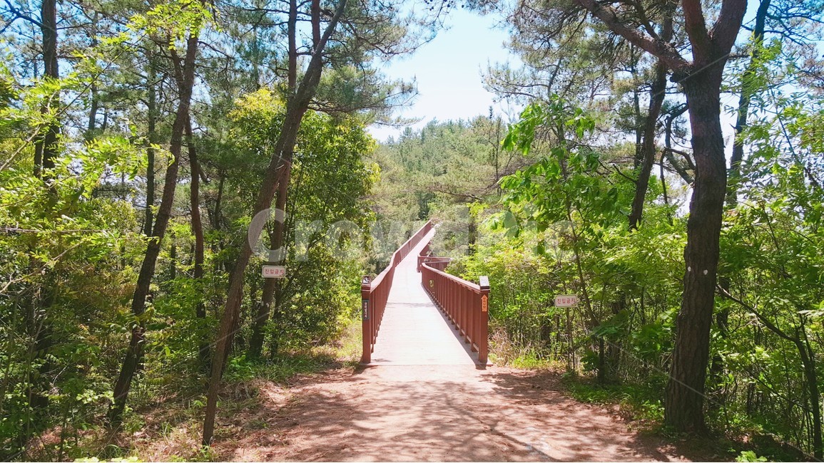 산책,숲길,숲속,나무,휴식,봄,길,자연,풍경,nature,landscape,휴식,힐링,rest,relaxation,healing,outdoors,옥외,garden,정원,arbour,정자