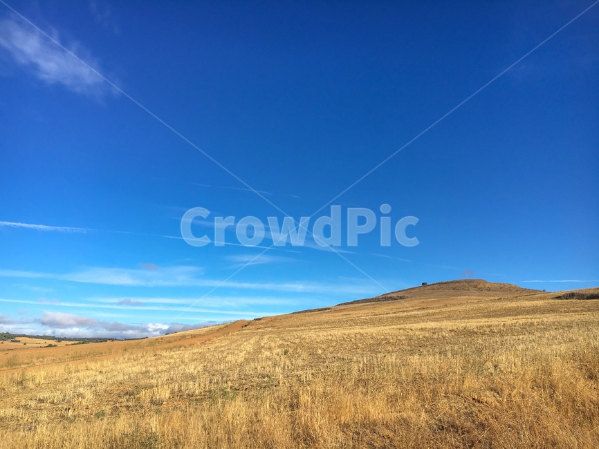 outdoors,옥외,grassland,field,들,목초지,스페인,spain,españa,산티아고순례길,순례길,산티아고,순례,pilgrim,peregrino,caminodesantiago,camino,순례자,nature,자연,길,road,way,dirtroad,흙길,풍경,landscape,아스토르가가는길,아스토르가,aastorga,toastorga