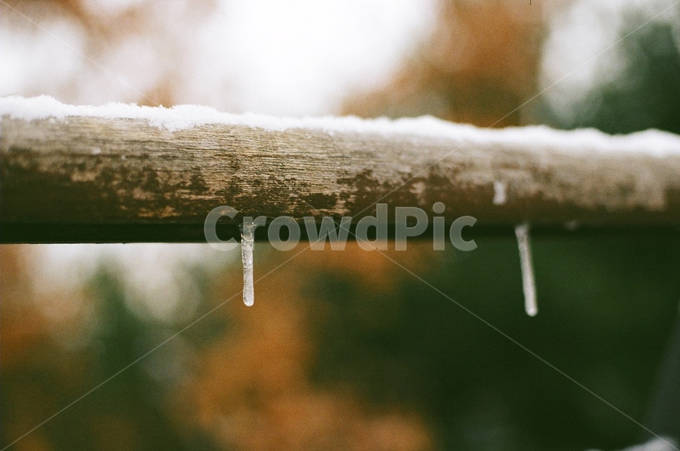 겨울풍경,고드름,눈오는날,winter,snow,icicle,눈,필름사진,필름카메라,겨울,계절,winter,season