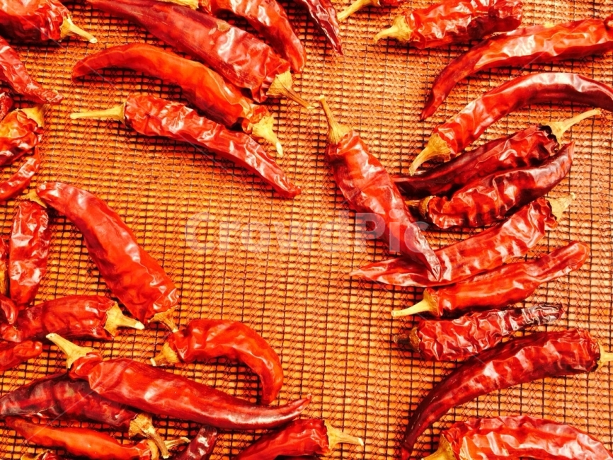 한국,고추,전통,빨강,농업,agriculture,korea,asia,pepper,hot,red,traditional,chili,음식,식재료,요리,food,cook,meal,dishes,food reserves