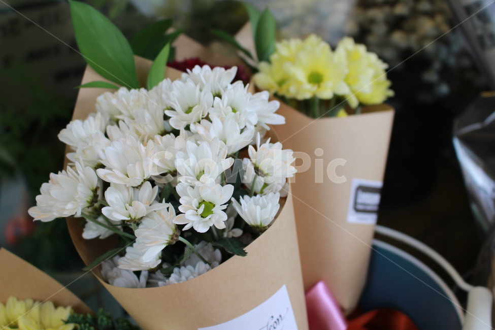 꽃,하얀꽃,꽃다발,봄,꽃집,꽃,flower,기념일,축하,anniversary,congratulation,celebrate,celebration