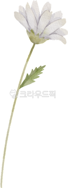 birthday,Decorating a diary,daisy birth flower,flower painting,arbor day,tattoo design,floral design,Tattoo,flower design,april,flower,Dakku,watercolor,painting,flower illustration,plant illustration,plant,daisy,Watercolor