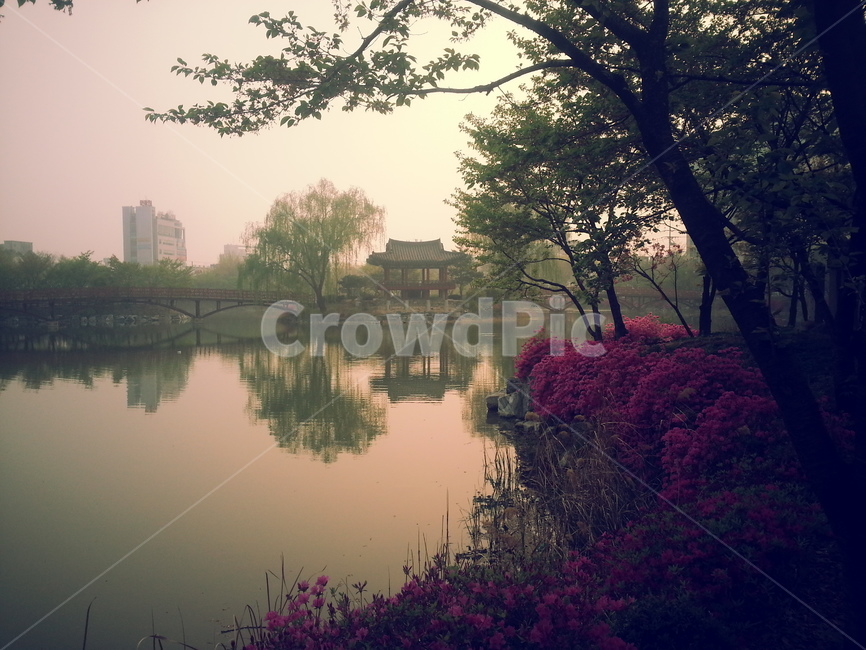 water,물,nature,자연,outdoors,옥외,정자,붉은색,호수,한옥
