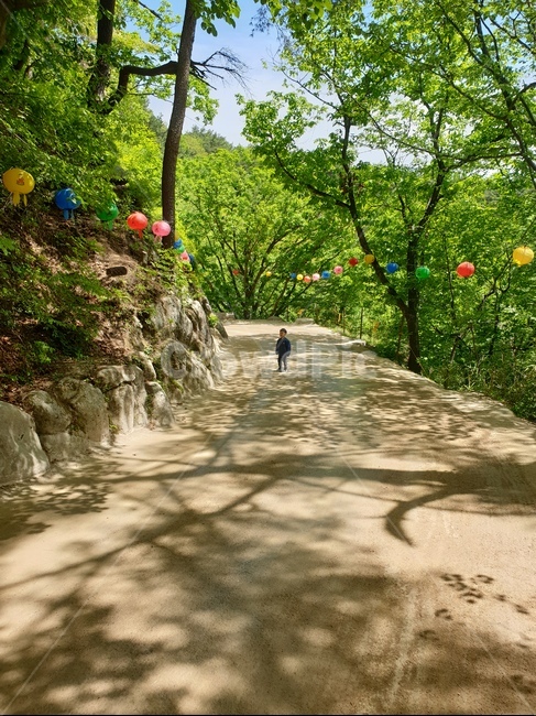 경주,석굴암,숲속,산책,봄