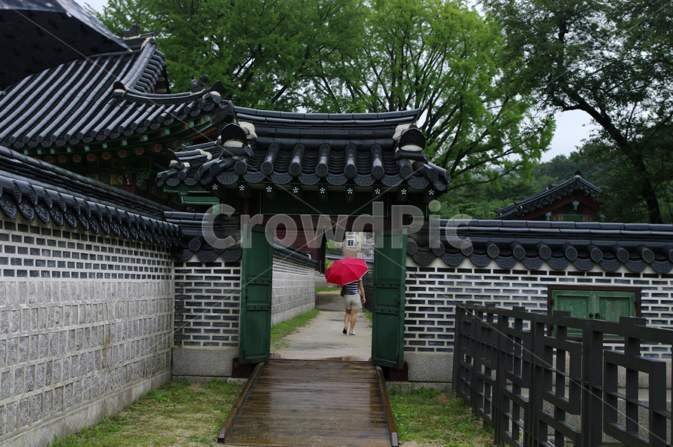 창덕궁,고궁,한옥,전통가옥,기와지붕,건축,traditional,나무,문,한국전통,한국문화,korean traditional,korean culture,랜드마크,landmark,tourist attraction,한국랜드마크,한국관광지,한국명소,korea landmark,korea tourist attraction,사람,인물,인간,human,person,건축물,건물외관,exterior,building,structure,architecture,construction