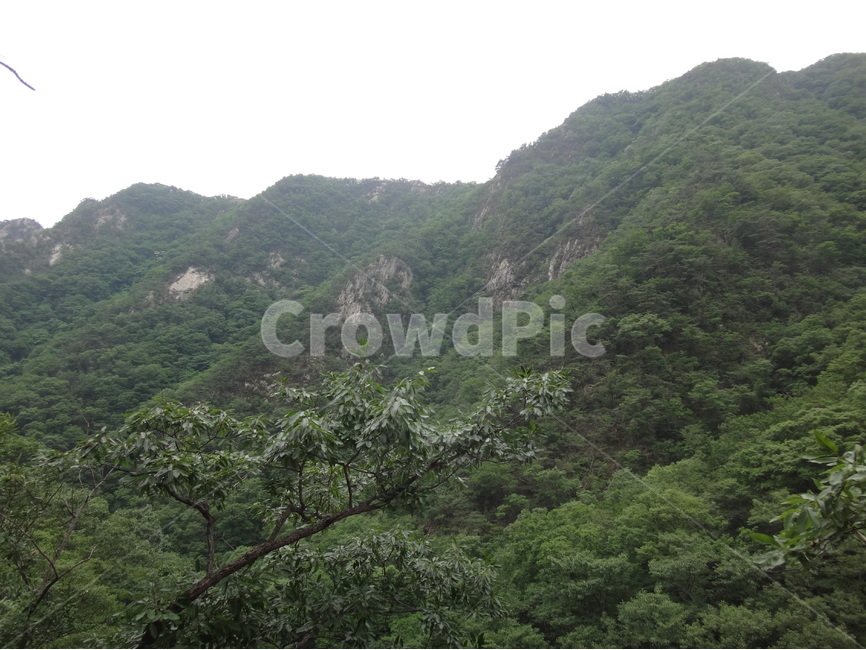 풍경,산,숲,나무,자연,자연,풍경,nature,landscape,outdoors,옥외,hill,언덕