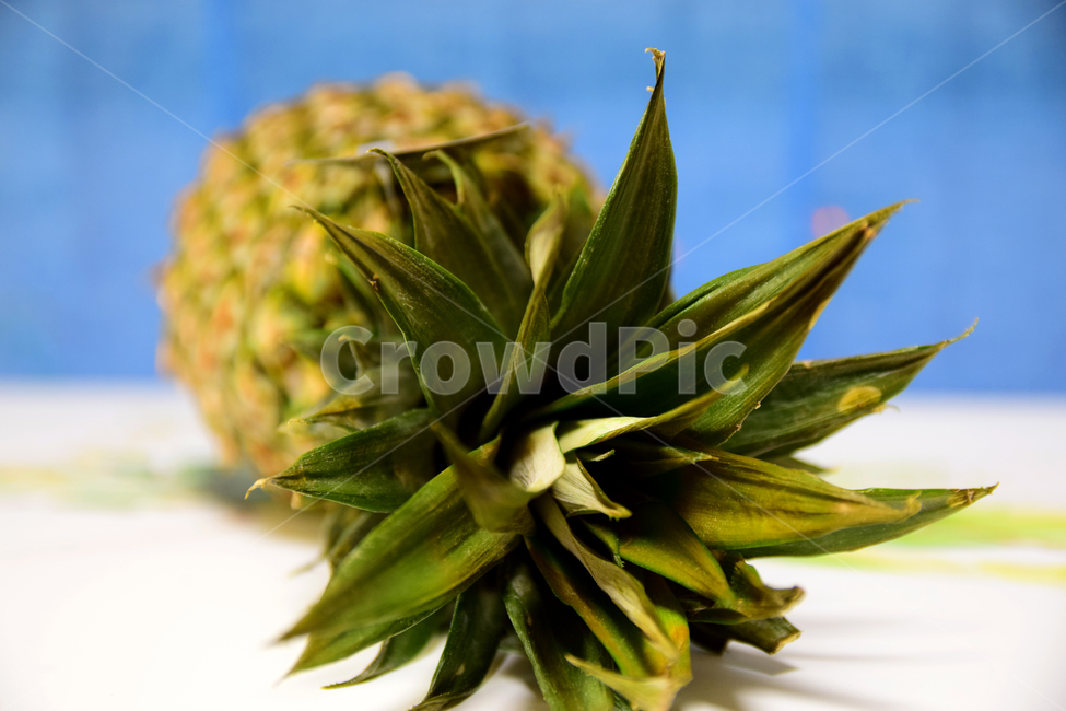 파인애플,과일,열대과일,생과일,식재료,fruit,pineapple,과일,열매,fruit