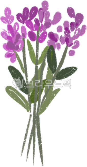 Flower hand drawing,flower painting,planter,wild flower,spring flower,flower cultivation,flower bouquet,small flower bouquet,cute flower bouquet,lyrical,pretty