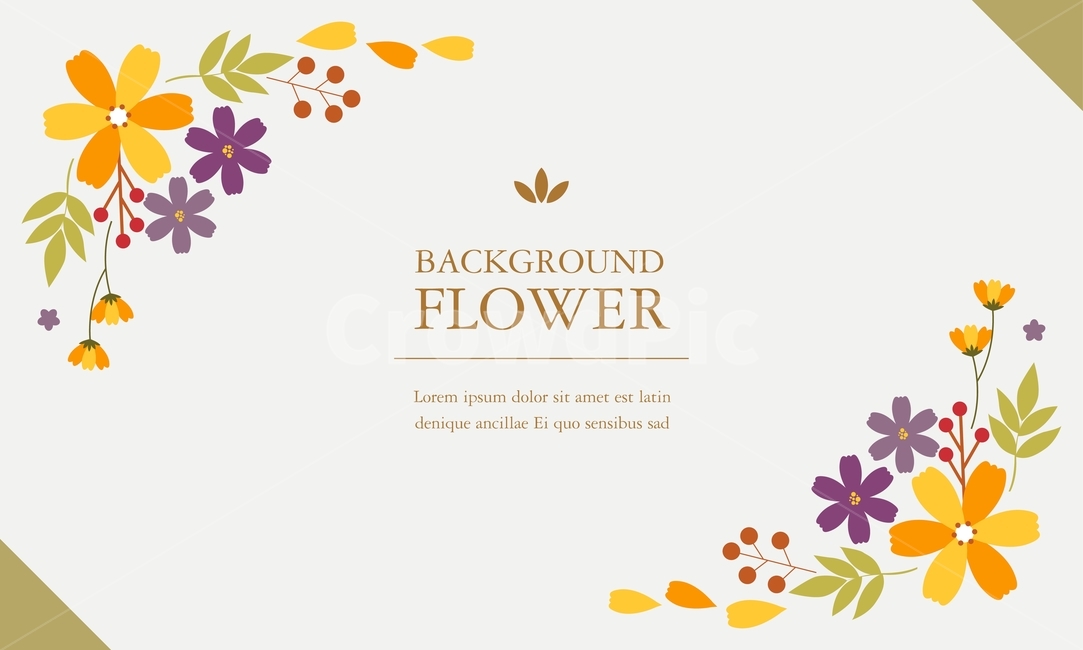 꽃,잎,열매,줄기,리본,가을,템플릿,배경,백그라운드,꽃,flower,그래픽,일러스트레이션,graphic,illustration
