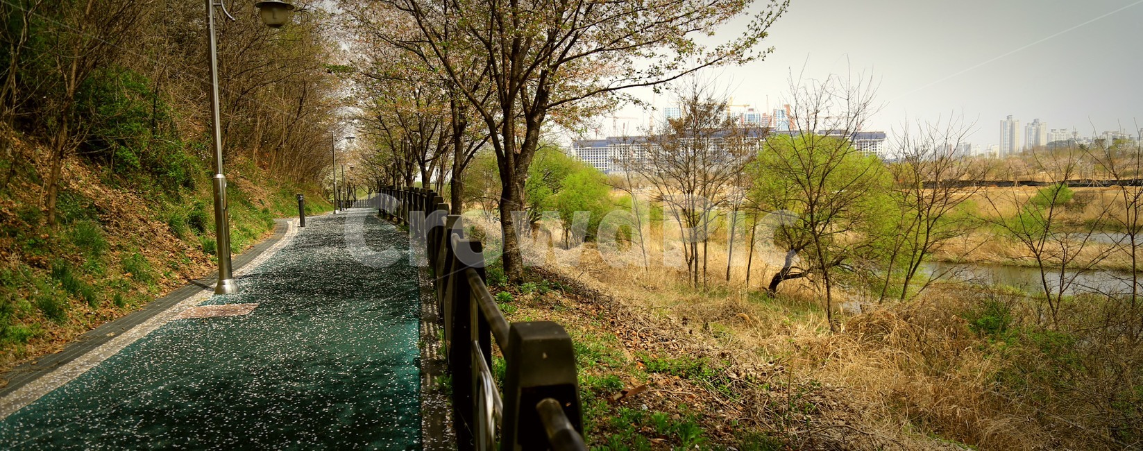 길거리,공원,가을,봄,감성,spring,fall,autumn,park,road,walk,trail