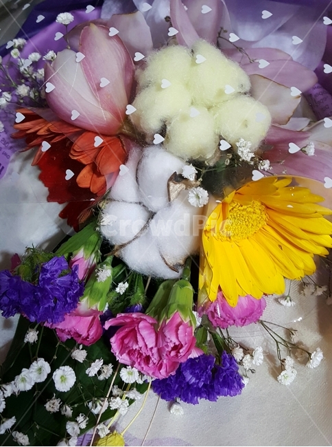 꽃다발,꽃,목화,꽃송이,flowers,꽃,flower