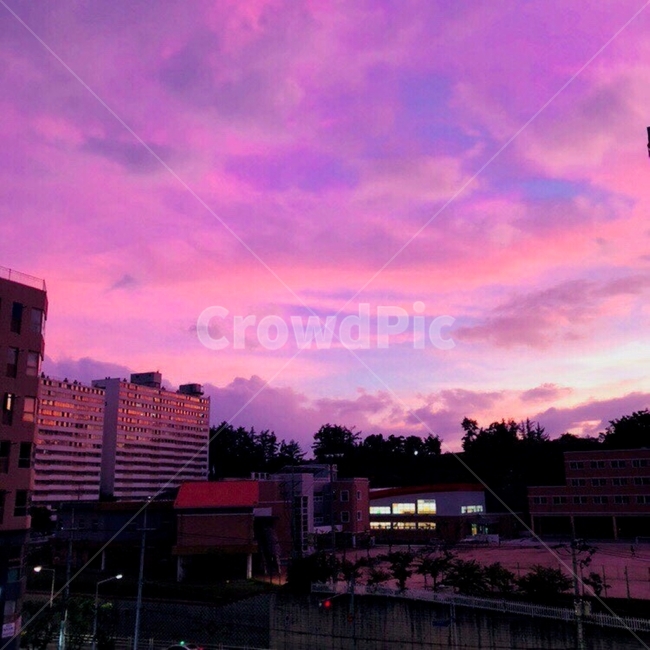 핑크,하늘,아파트,저녁,노을
