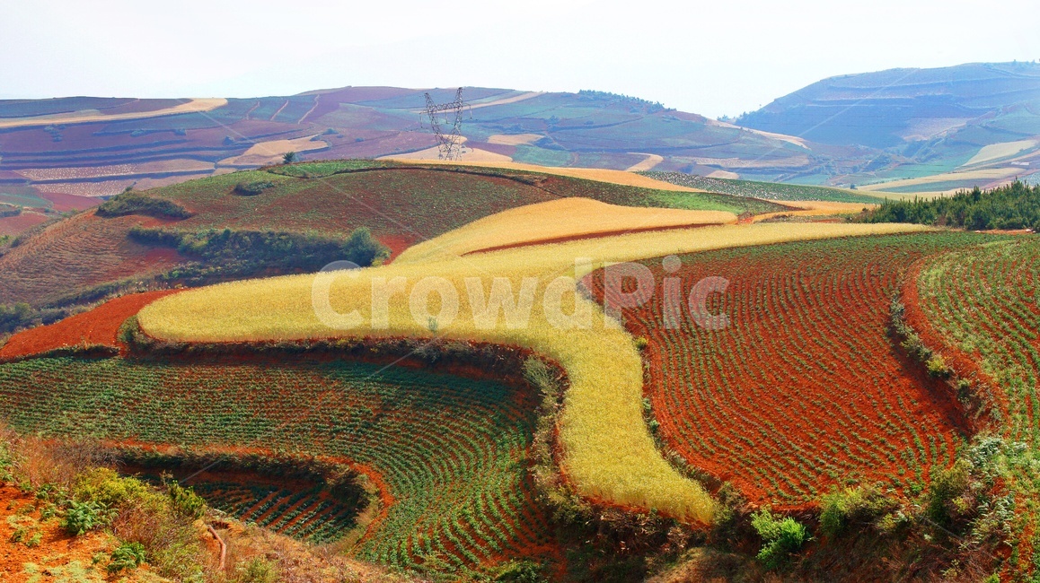 nature,자연,outdoors,옥외,landscape,경치,plateau,고원,scenery,풍경,hill,언덕,field,들,중국,운남성,홍토지,운남홍토지,비경,패턴,자연,풍경,nature,landscape,해외,외국,세계,foreign,oversea,world,세계자연풍경,해외자연풍경,외국자연풍경,world nature landscape