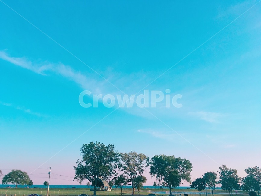 하늘,나무,핑크,분홍,하늘색,자연,풍경,nature,landscape,grass,잔디,plant,식물,outdoors,옥외,field,들