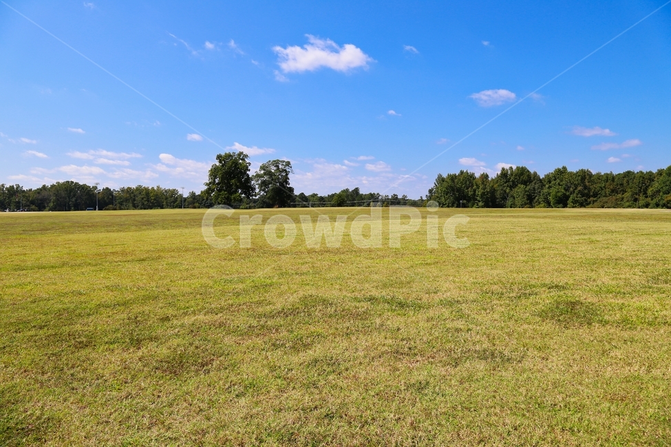 초원,잔디,목초지,파란하늘,목장,자연,풍경,nature,landscape,field,들,outdoors,옥외,grassland