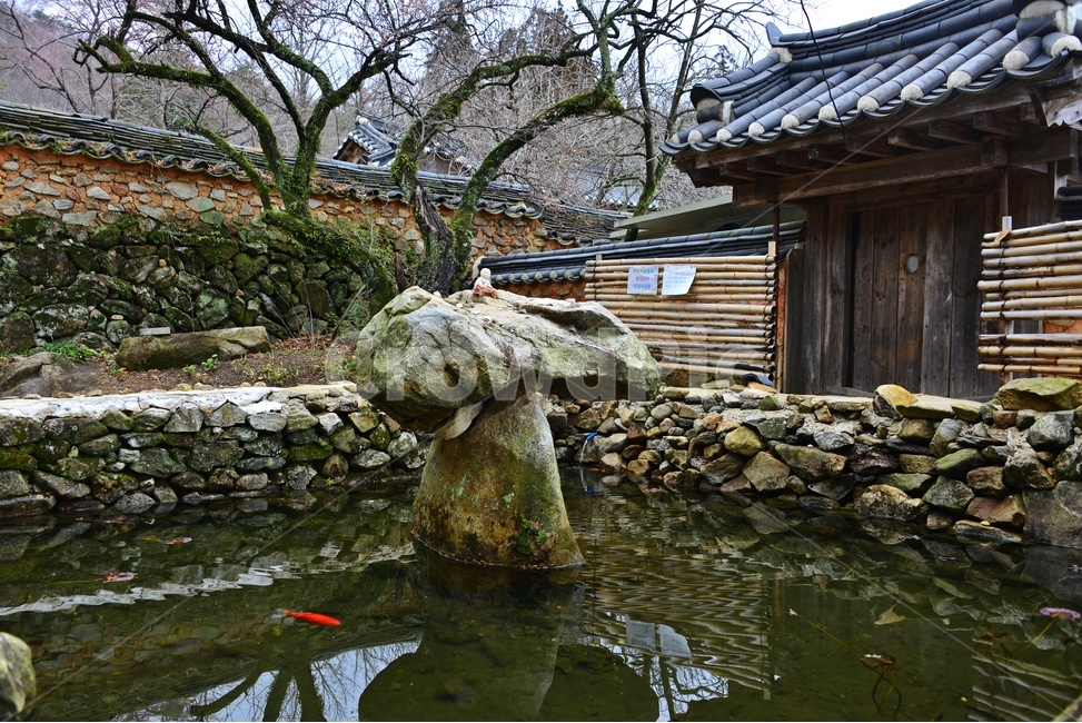 water,물,nature,자연,outdoors,옥외,승주,선암사,사찰,절,불교,유적지,문화재,벚꽃,선암매