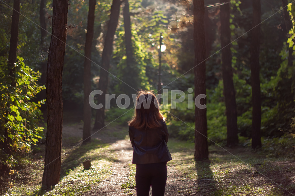 숲,소녀,forest,산책,가을,walk,가로등,unknown,여아,여자아이,girl,female,kid,child,hiking,mountain,hill,evening,trees,자연,풍경,nature,landscape,사람,인물,인간,human,person,어린이,어린아이,child,children,kid,tree,나무,plant,식물,vegetation,초목,woodland,삼림지,outdoors,옥외,land,땅,grove,작은 숲,flare,플레어,light,빛