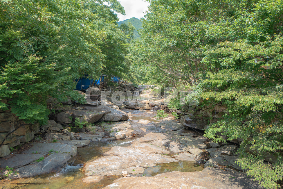 산,나무,계곡,자연,물,옥외,흐름,작은만,nature,water,stream,creek,outdoors,자연,풍경,nature,landscape,작은 만