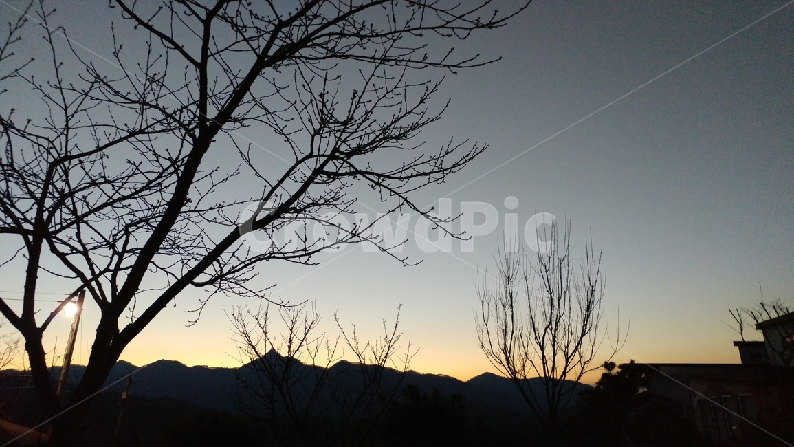황혼,해질녘,늦저녁,밤,나무,자연,풍경,nature,landscape,silhouette,실루엣,outdoors,옥외