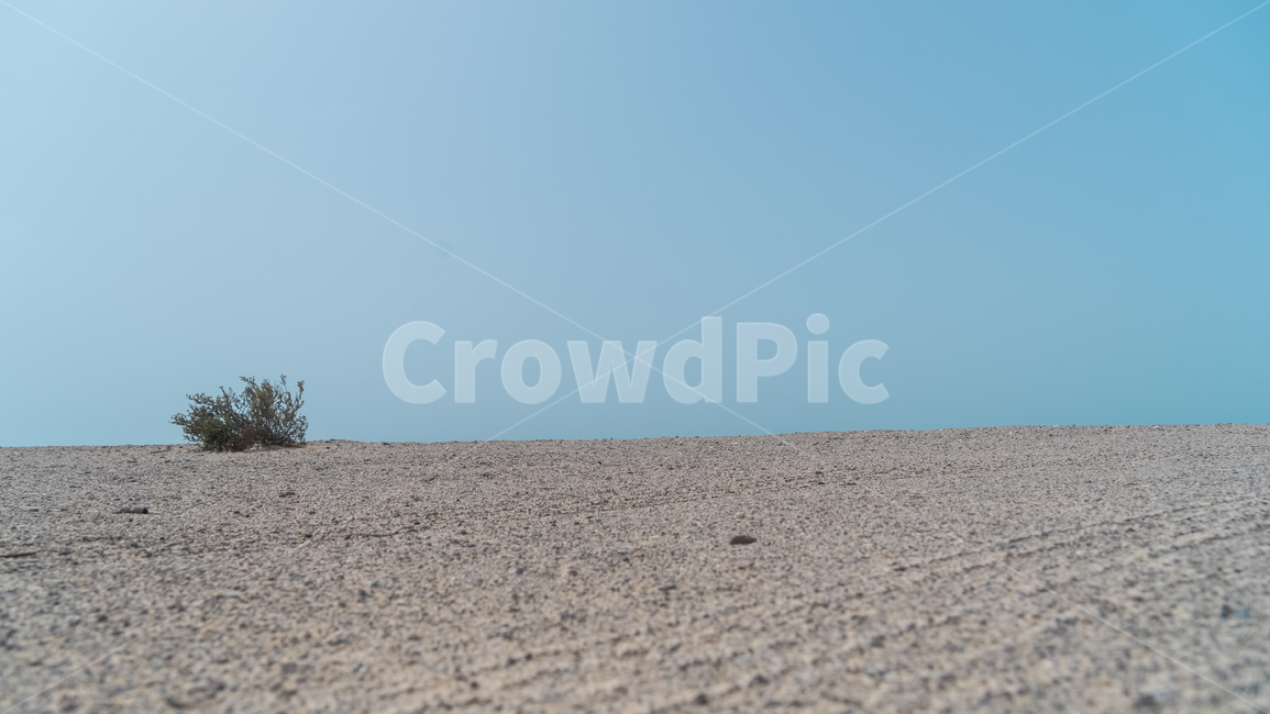 사막,아랍,중동,하늘,아부다비,desert,자연,풍경,nature,landscape,ground,바닥,soil,흙
