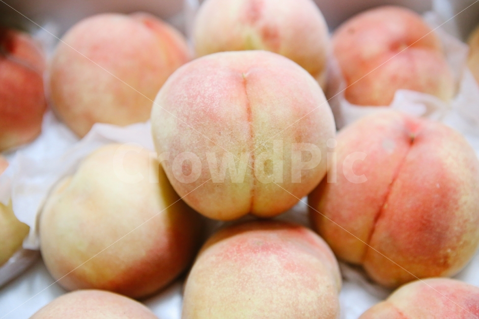 과일,제철과일,복숭아,음식,식재료,food,음식,식재료,요리,food,cook,meal,dishes,food reserves,과일,열매,fruit