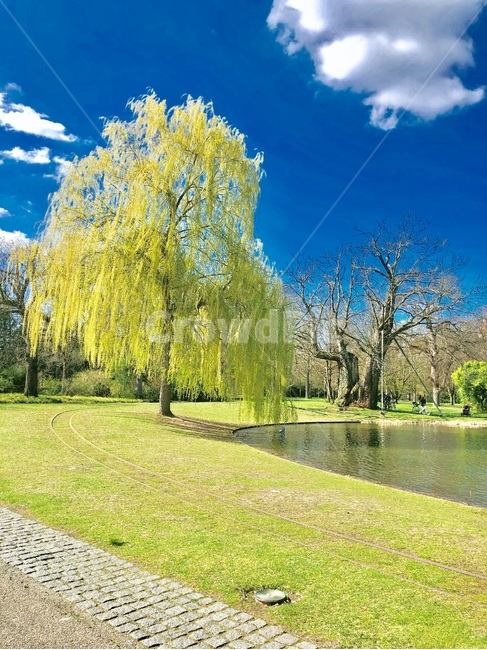 공원,푸른색,나무,호수,하늘,구름,풍경,자연,초록색,파란색,park,blue,green,skyblue,sky,tree,lake,landscape,nature,푸른,푸르른,파란,파랑,맑음,맑은