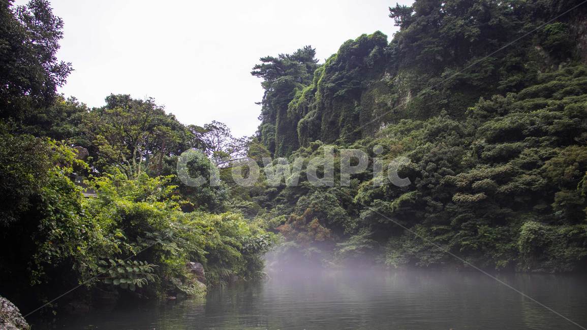 nature,자연,water,물,outdoors,옥외,안개,river,green,fog,자연,풍경,nature,landscape