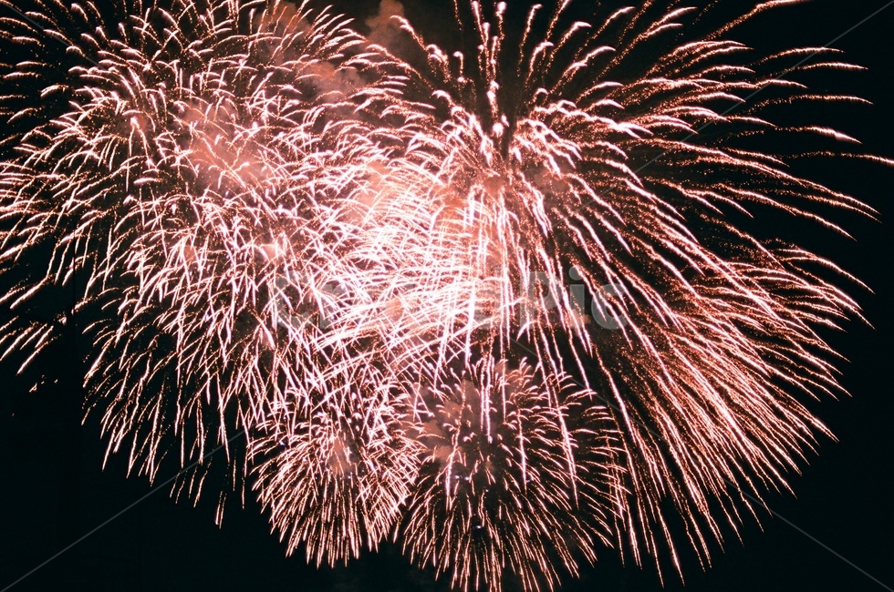 불꽃,축제,광안리,야경,부산,폭죽,firework,nightscape,busan,festival,아날로그,필름카메라,필름,감성,analogue,felling,film,야경,밤,풍경,nightscape,night,landscape,축제,행사,festival,carnival,event,nature,자연,outdoors,옥외