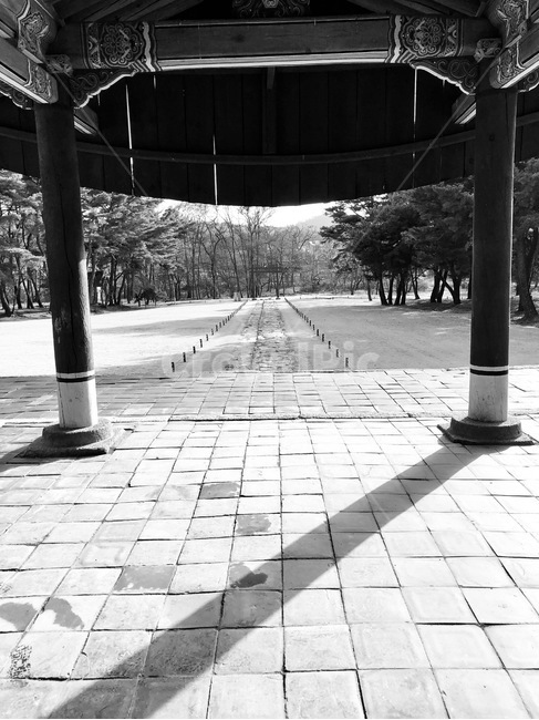 오후,고양,능,그림자,흑백,빛,햇빛,한국전통,한국문화,korean traditional,korean culture,흑백,모노톤,monochrome,black and white,건축물,건물외관,exterior,building,structure,architecture,construction