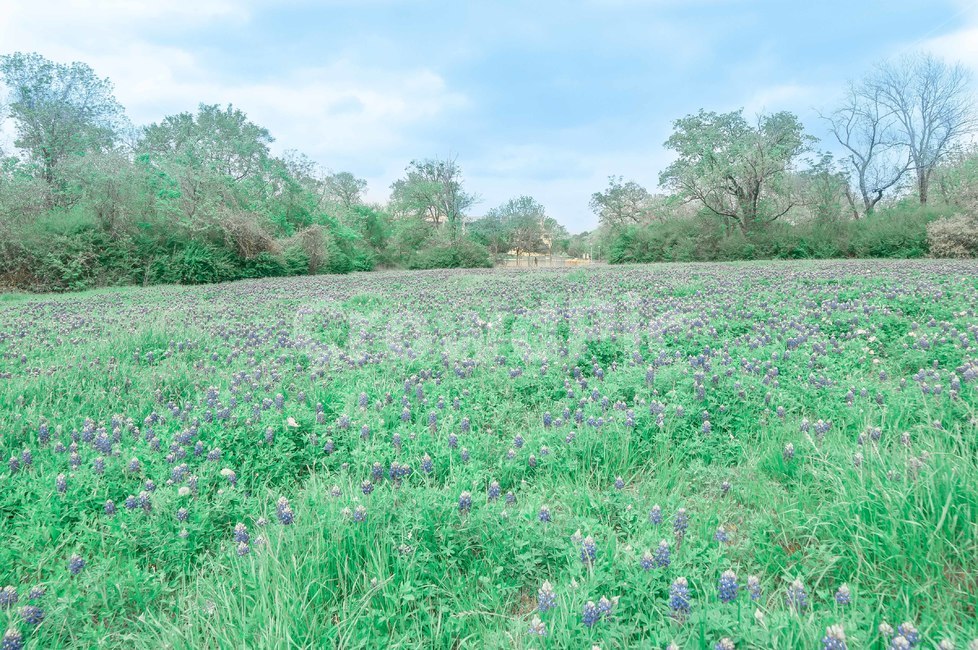 grassland,outdoors,옥외,자연,nature,field,countryside,한지방,farm,농장,목초지,meadow,농촌,rural,자연,풍경,nature,landscape